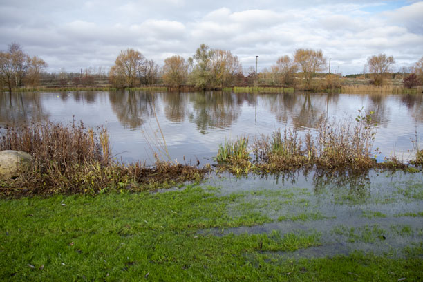 En sø er gået over sine bredder, og der står derfor vand i græsset omkring søen.